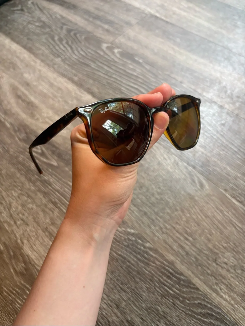 Ray-Ban Men’s Brown Frame Sunglasses